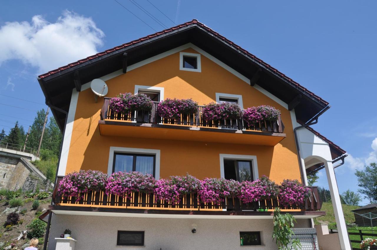 Апартаменти Privatzimmer Bendl Steinhaus am Semmering Екстер'єр фото